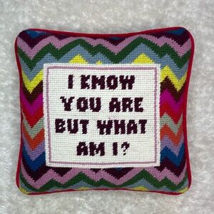 Furnish chevron needlepoint small square red velvet funny quote pillow